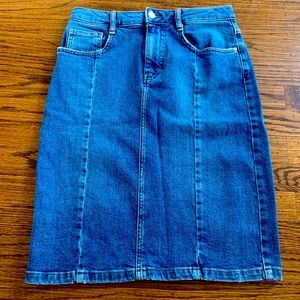 Anthropologie Pencil Skirt